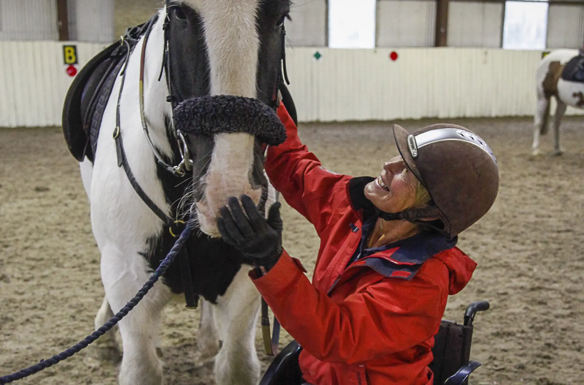 Equine Assisted Learning and Therapy at Clwyd Special Riding Centre